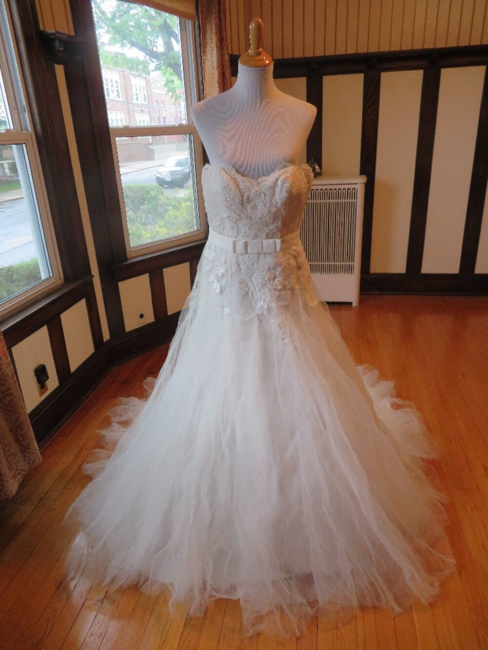 La Sposa by Pronovias Wedding Dress